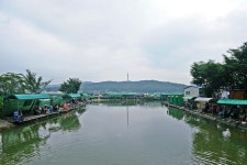 낚시사랑 > 이천 유일낚시터 : 낚시사랑