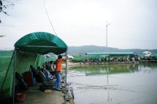 낚시사랑 > 이천 유일낚시터 : 낚시사랑