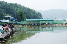 낚시사랑 > 이천 유일낚시터 : 낚시사랑