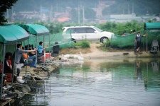 낚시사랑 > 이천 유일낚시터 : 낚시사랑