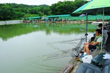 낚시사랑 > 이천 유일낚시터 : 낚시사랑