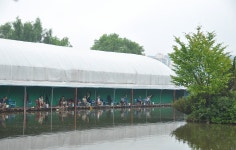 제이에스 > 구리 백암공원 낚시터 물갈이 치어작업후 재개장 : 낚시사랑