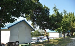 제이에스 > 원주 지역 낚시터 탐방 : 낚시사랑