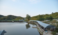 제이에스 > 원주 지역 낚시터 탐방 : 낚시사랑