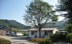 제이에스 > 원주 지역 낚시터 탐방 : 낚시사랑