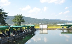 제이에스 > 원주 지역 낚시터 탐방 : 낚시사랑