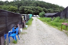 낚시사랑 > 광명 제일낚시터 : 낚시사랑