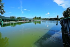 낚시사랑 > 남양주 화림낚시터 : 낚시사랑