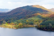 낚시사랑 > 춘천호 세월낚시터 : 낚시사랑