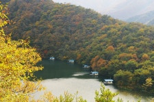 낚시사랑 > 춘천호 오월낚시터 : 낚시사랑