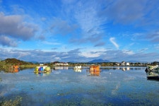 낚시사랑 > 탄금호 입석낚시터 : 낚시사랑