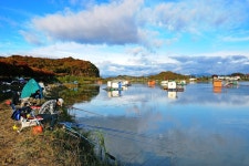 낚시사랑 > 탄금호 입석낚시터 : 낚시사랑