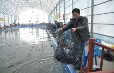 제이에스 > 대부도 솔바다 하우스 낚시터 개장 : 낚시사랑