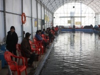 바다하늘산 > 대부도 솔하우스 실내 바다 낚시터 ... 짜릿한 손맛, 달콤한 입맛, 노을 진 실내 바다 낚시터에서 추억 만들어보자. : 낚시사랑..