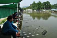 츄릅 > (제일낚시터) 찌올림의 미학이 있는곳 : 낚시사랑