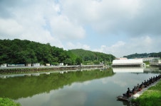 츄릅 > (동막낚시터) 경기도 용인시의 마릿수 손맛터 : 낚시사랑