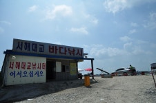 츄릅 > (서해대교바다낚시터) 찌는듯한 무더위에도 마릿수는 가능하다! : 낚시사랑