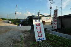 츄릅 > (송악ic바다낚시터) 날씨는 더워도 마릿수는 가능하다! : 낚시사랑