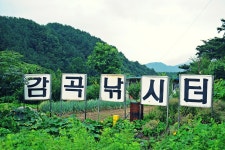 낚시사랑 > 음성 감곡지 : 낚시사랑