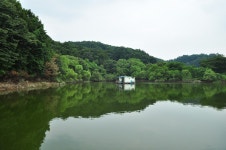 츄릅 > (두메낚시터) 수심깊은 안성권 계곡지의 메카 : 낚시사랑