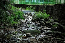 츄릅 > (초원낚시터) 왕방산 청정계곡수의 맑은수질을 자랑하는곳! : 낚시사랑