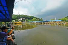 낚시사랑 > 하남시 고골낚시터 : 낚시사랑