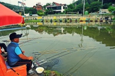 낚시사랑 > 하남시 고골낚시터 : 낚시사랑