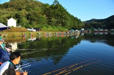 츄릅 > (완장1호낚시터)용인시 남사면 설경산협곡의 1급 계곡저수지 : 낚시사랑