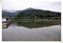낚시사랑 > 신규개장! 공주 그린낚시터 : 낚시사랑