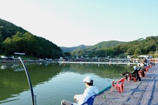 츄릅 > (완장1호낚시터) 송어낚시 시즌을 알리는 축제의 현장에 다녀오다 : 낚시사랑