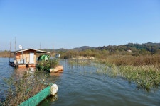 츄릅 > 츄릅~*의 예당저수지탐방 (장전좌대) : 낚시사랑