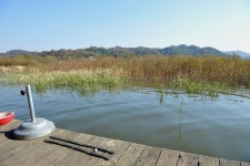 츄릅 > 츄릅~*의 예당저수지탐방 (장전좌대) : 낚시사랑