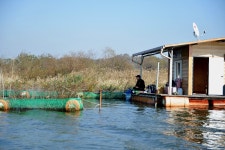 츄릅 > 츄릅~*의 예당저수지탐방 (장전좌대) : 낚시사랑
