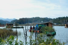 츄릅 > 츄릅~*의 예당저수지탐방 (장전좌대) : 낚시사랑