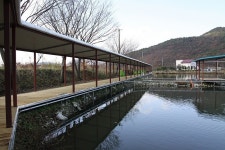 바다하늘산 > 그린낚시터 가든의 겨울 나기 ... : 낚시사랑
