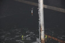 바다하늘산 > 김포 실내 바다 낚시터 ... 찌 맛, 손맛, 입맛을 찾아서 ... : 낚시사랑