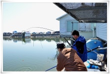 츄릅 > (황산바다낚시터) 대한민국 1호! 최대규모를 보여주는 노지오픈현장에 다녀오며.... : 낚시사랑