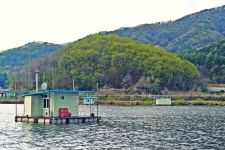 낚시사랑 > 춘천 신포낚시터 : 낚시사랑