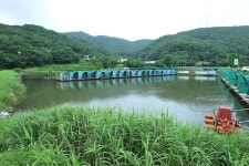 츄릅 > (상덕낚시터) 무봉산 자락의 아름다운 계곡소류지 상덕낚시터를 다녀오며... : 낚시사랑