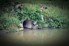 츄릅 > (상덕낚시터) 무봉산 자락의 아름다운 계곡소류지 상덕낚시터를 다녀오며... : 낚시사랑