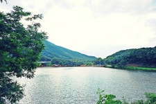 낚시사랑 > 이천 용면파크낚시터 : 낚시사랑