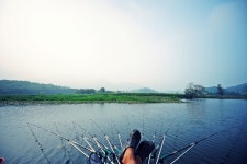 낚시사랑 > 충주호 제일낚시터 : 낚시사랑