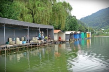 츄릅 > (수곡낚시터) 칠보산의 멋들어진 산새와 맑은물색 , 전통깊은 계곡저수지 수곡낚시터를 다녀오며,,, : 낚시사랑