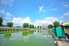 낚시사랑 > 남양주 반도낚시터 : 낚시사랑