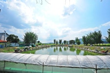 낚시사랑 > 남양주 반도낚시터 : 낚시사랑