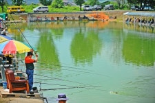 낚시사랑 > 남양주 반도낚시터 : 낚시사랑