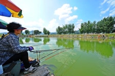 낚시사랑 > 남양주 반도낚시터 : 낚시사랑