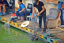 낚시사랑 > 남양주 반도낚시터 : 낚시사랑