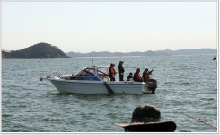 어신 > 쭈꾸미가 제철입니다. 당암리 포구 남용호 : 낚시사랑