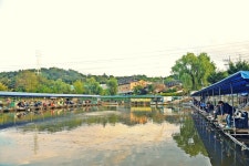 낚시사랑 > 하남 고골낚시터 : 낚시사랑